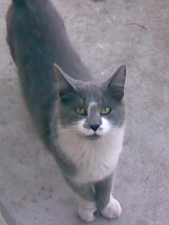 fotos/0000-00-00 - Infancia/Imagen011.jpg